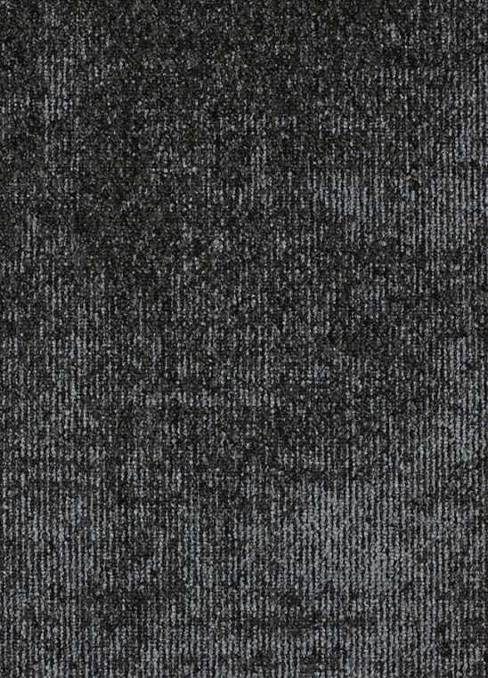 Orb 559